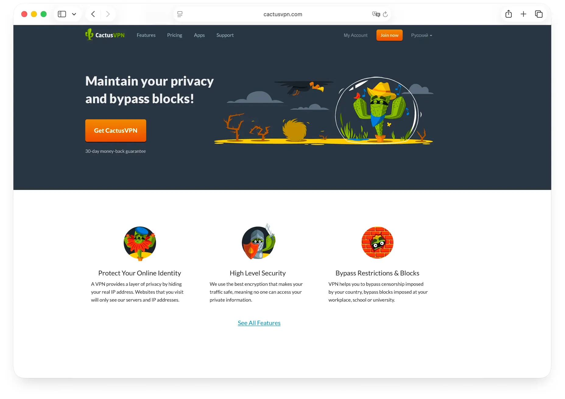CactusVPN SEO case study