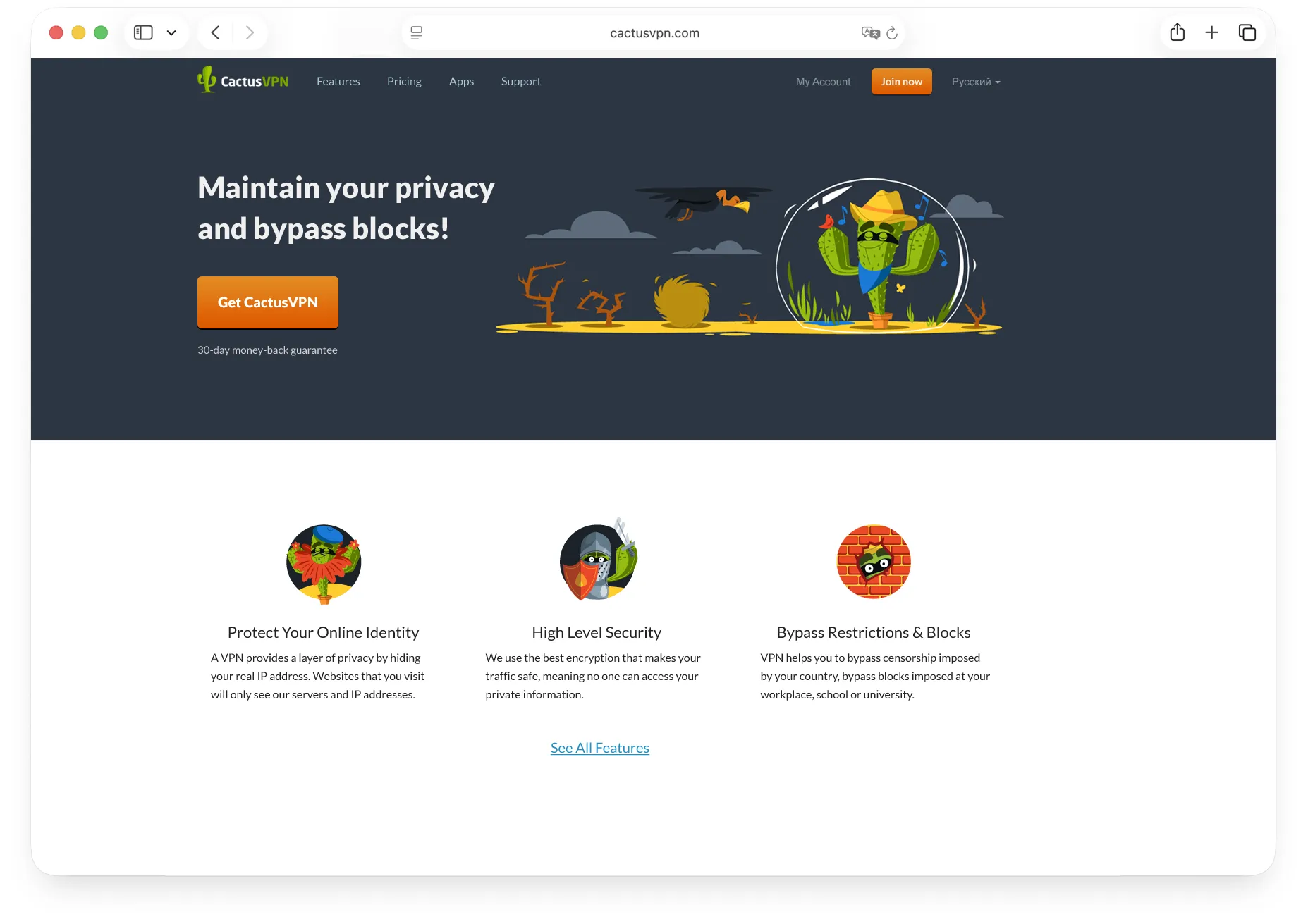 CactusVPN SEO case study